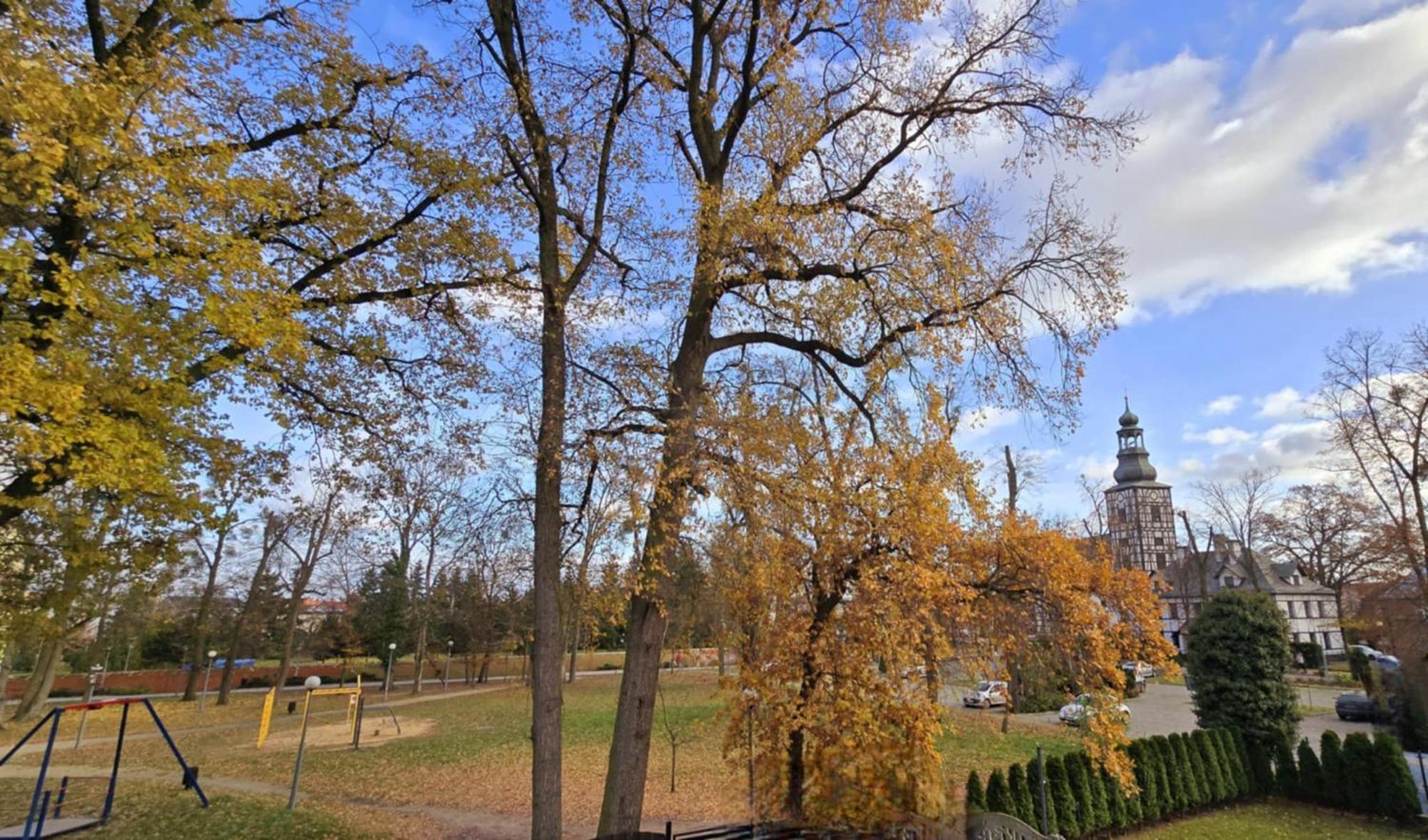 Wyjatkowy W Miliczu Milicz